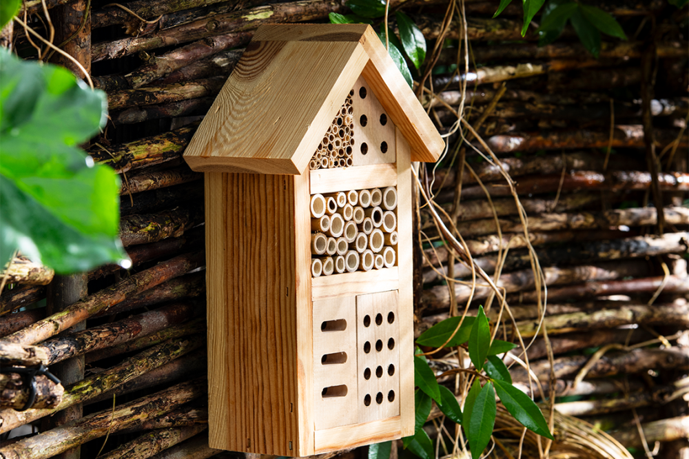 Biodiversiteit: Hang een insectenhotel op