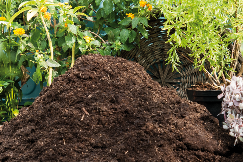Biodiversiteit: Van afval naar voeding