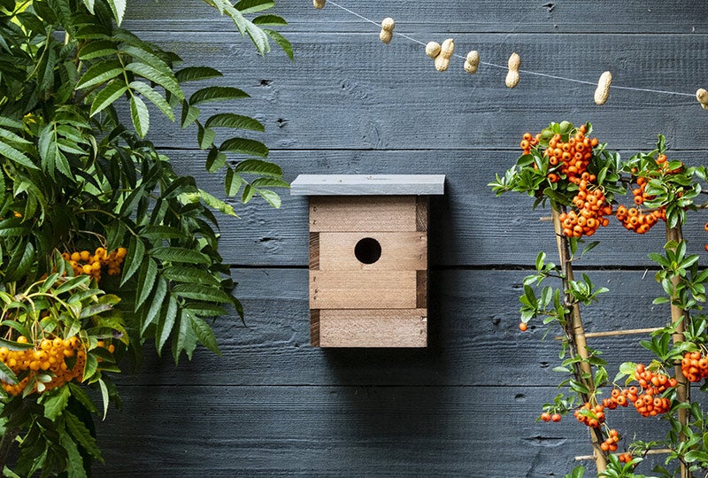 Blog: Vogelhuisje of nestkastje in de tuin