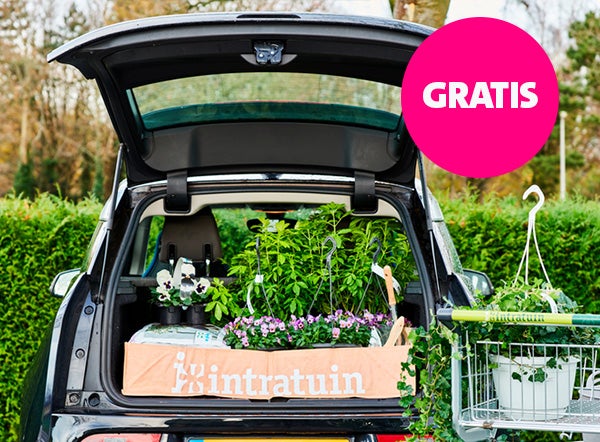 Gratis kofferbakzak Gratis kofferbakzak