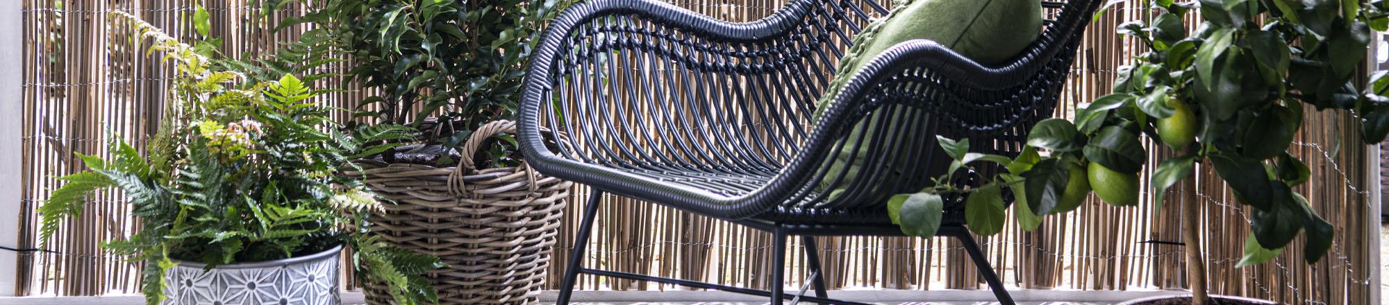 Een balkon, dakterras of kleine tuin vergroenen