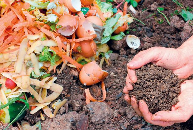 Compost en compost maken: Hoe zelf composteren?