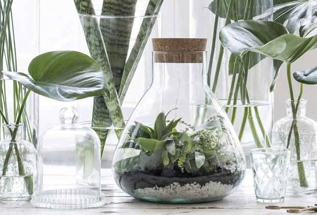 activering Arrangement jurk DIY – Maak een planten terrarium: ecosysteem in glas – Intratuin