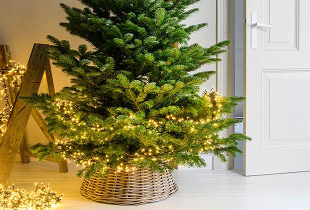 Duurzame kerstboom: welke is beter voor het milieu?