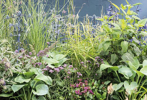 Leg een insectenlokkende tuin border aan