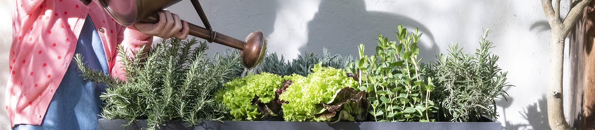 Moestuin maken met kinderen