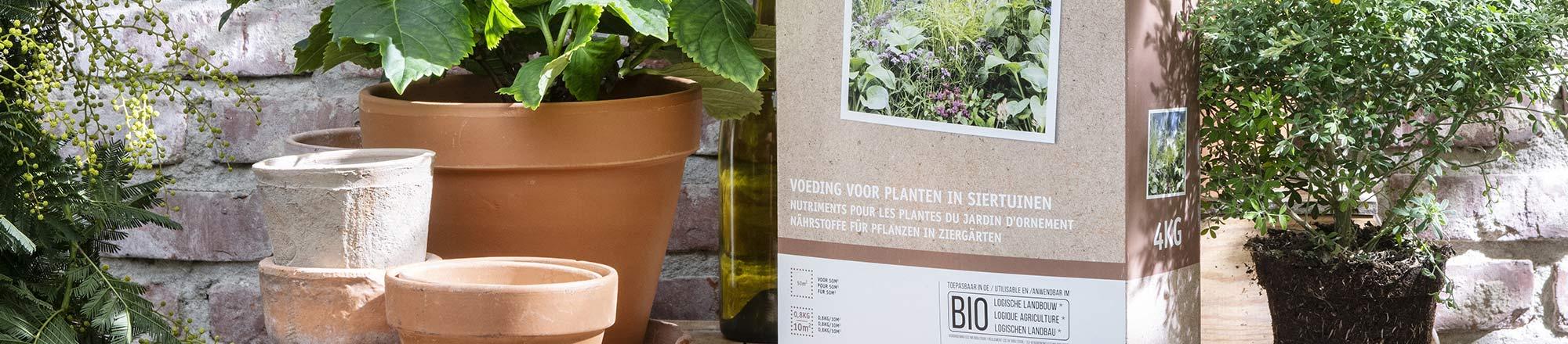 Plantenvoeding voor tuinplanten