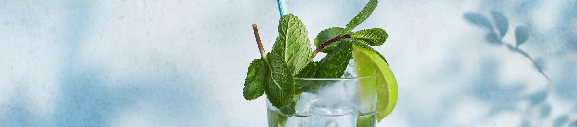Recept: Alcoholvrije mojito met limoen & munt 