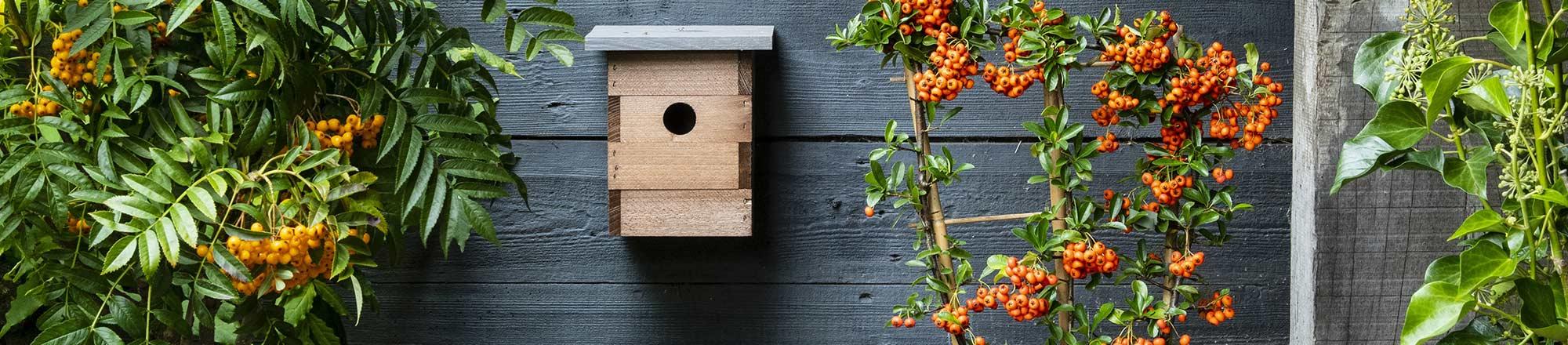 Vogelhuisje of nestkastje in de tuin