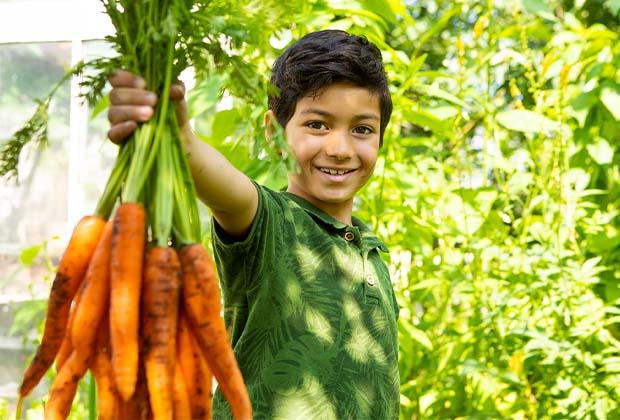 Creëer een hapklare tuin 