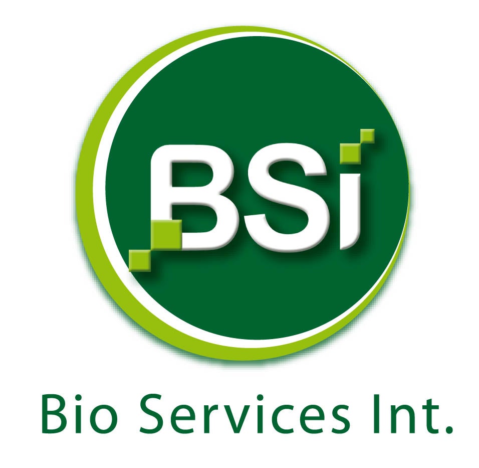 BSI BSI