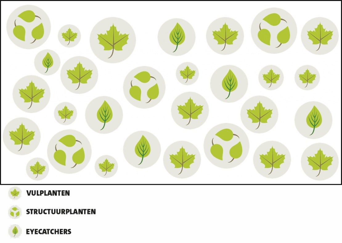 Borderplan algemeen