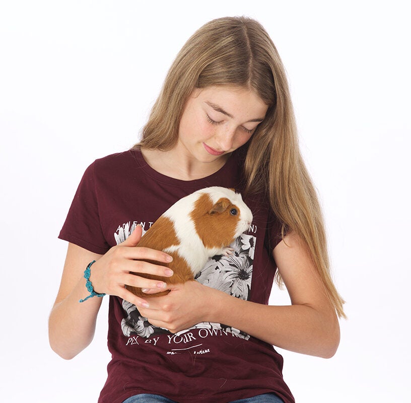 Knuffelen met de cavia