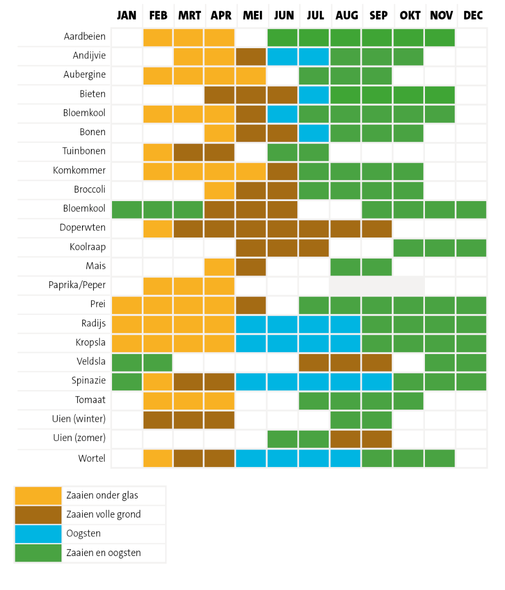 Spijsverteringsorgaan scheuren Majestueus Zaaikalender voor je moestuin: dé moestuinkalender – Intratuin