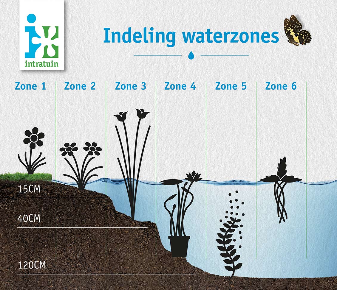 Waterzones plantdiepte waterplanten