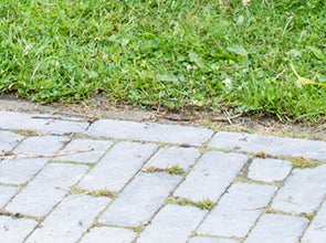 Bestrijdingsmiddelen