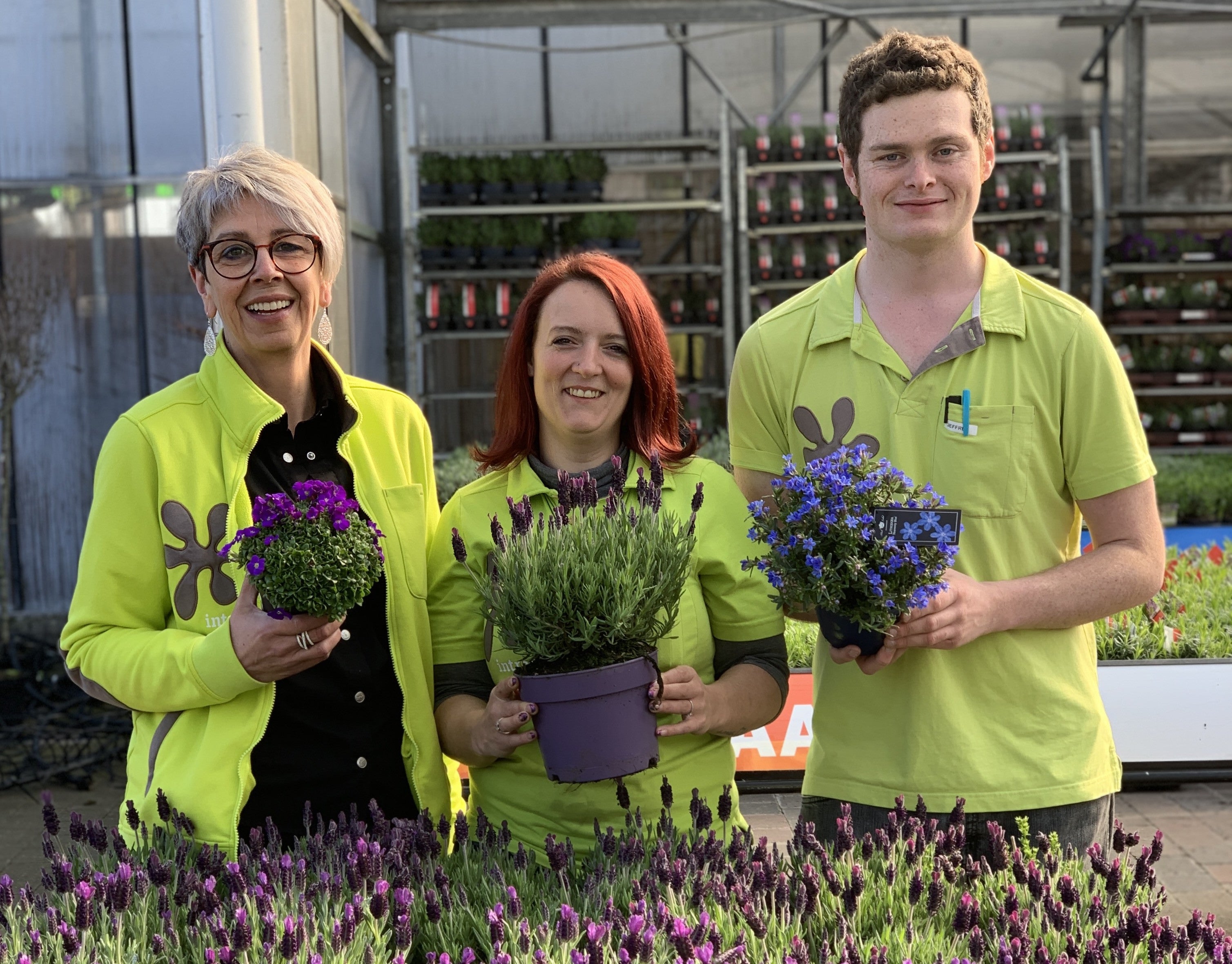 Solliciteren kan via werkenbij.intratuin.be