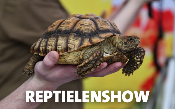Reptielenshow bij Intratuin Lisse!