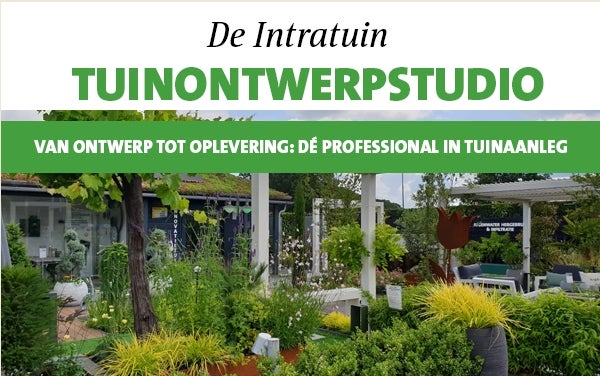 TUINONTWERPSTUDIO INTRATUIN