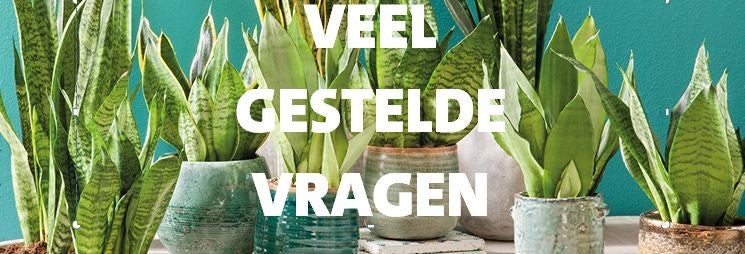 Veel gestelde vragen