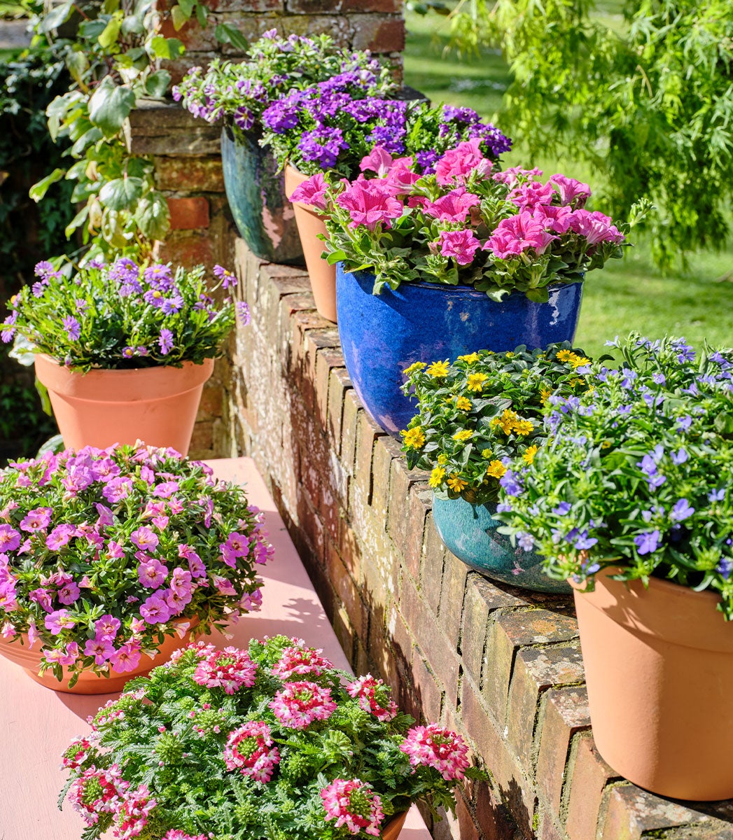 Balkon met planten Balkon met planten