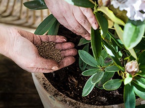 Shop plantverzorging