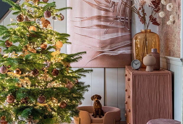 Welke kerstboom is het meest duurzaam?