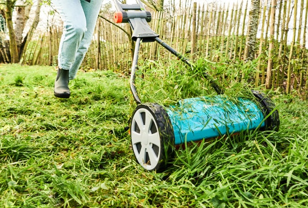Blog: Gazon onderhoud in 5 stappen