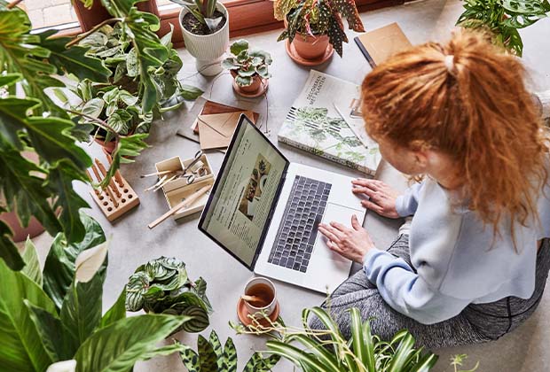 Gratis: Plantencursus