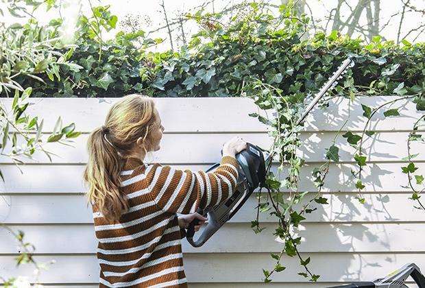 Blog: 5 tips voor meer biodiversiteit in de tuin