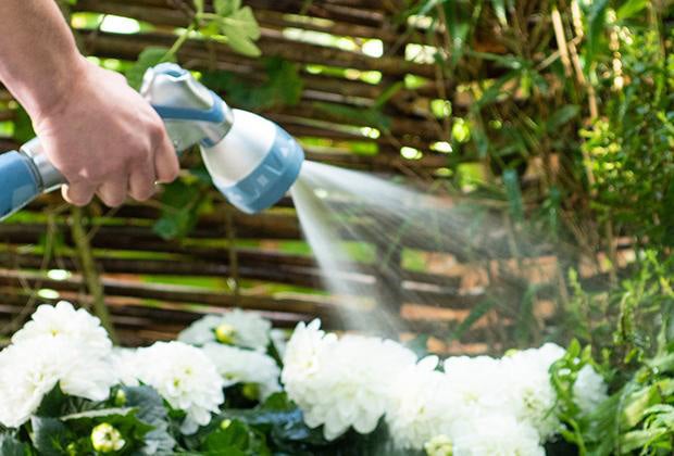 Blog: Water geven in je tuin